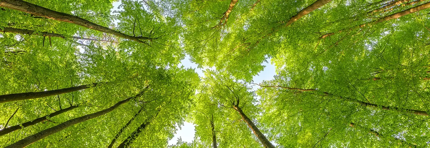 Sustainability in Glass Fabrication – How K&W Grinding Extends Tool Life and Reduces Waste